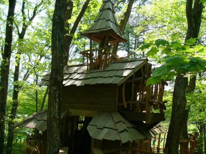 tree-House3