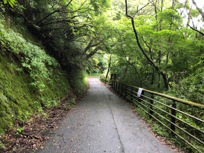 箱根の遊歩道