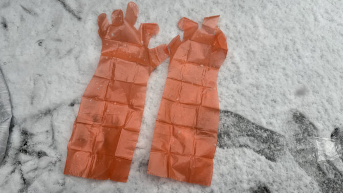 雪の上の置いた手袋